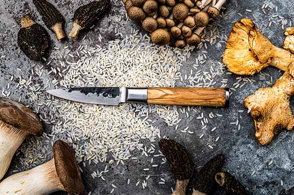 Forged Olive Schilmes 8,5 cm