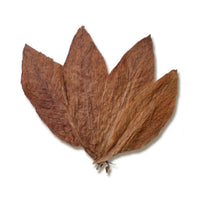 Taylor Of Old Bond Street - Tobacco Leaf Aftershave Lotion 50ml